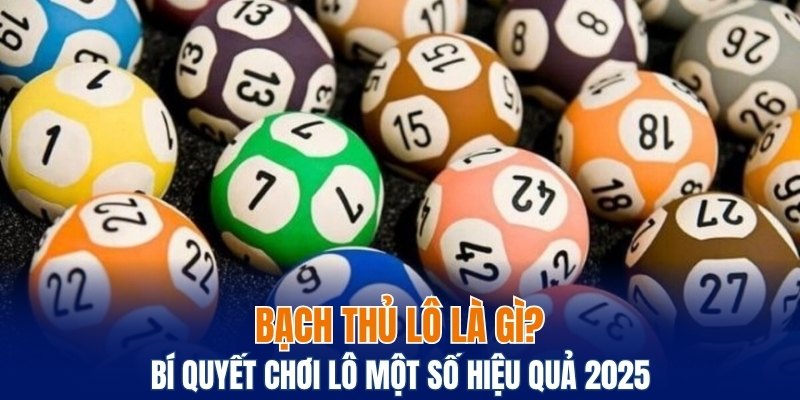 bạch thủ lô là gì