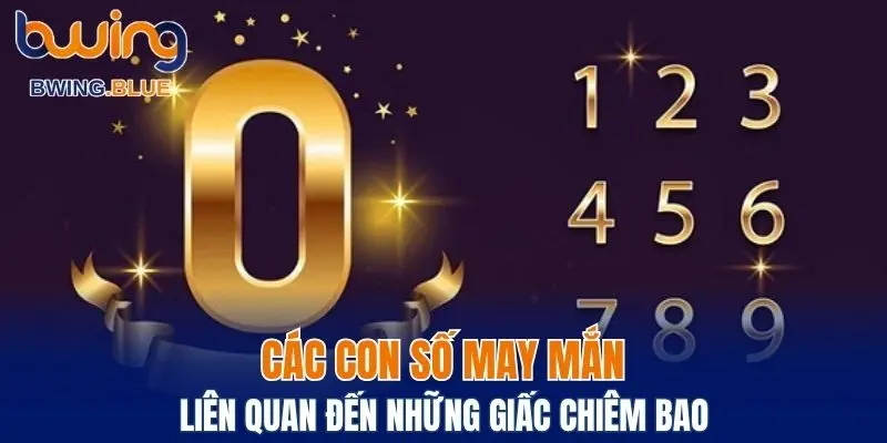 Cung cấp các con số may mắn liên quan đến chiêm bao