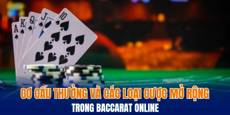 Cơ cấu thưởng và các loại cược mở rộng trong Baccarat online