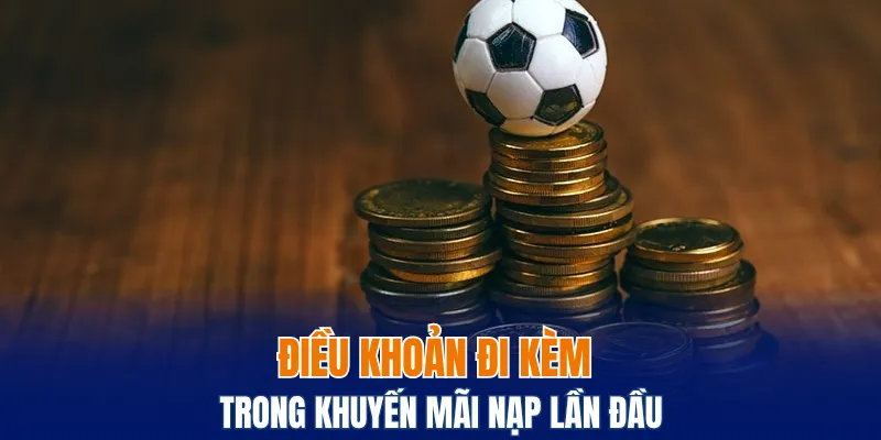 Điều khoản đi kèm trong Khuyến mãi nộp đầu