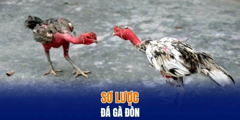Sơ lược đá gà đòn