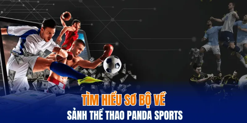 Tìm hiểu sơ bộ về sảnh thể thao Panda sports